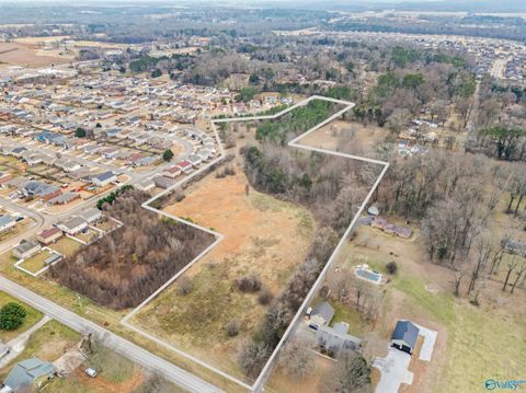 Vacant Land For Sale - 10.9 ACRES Monroe Road<br/> Madison County, Meridianville, AL 35759