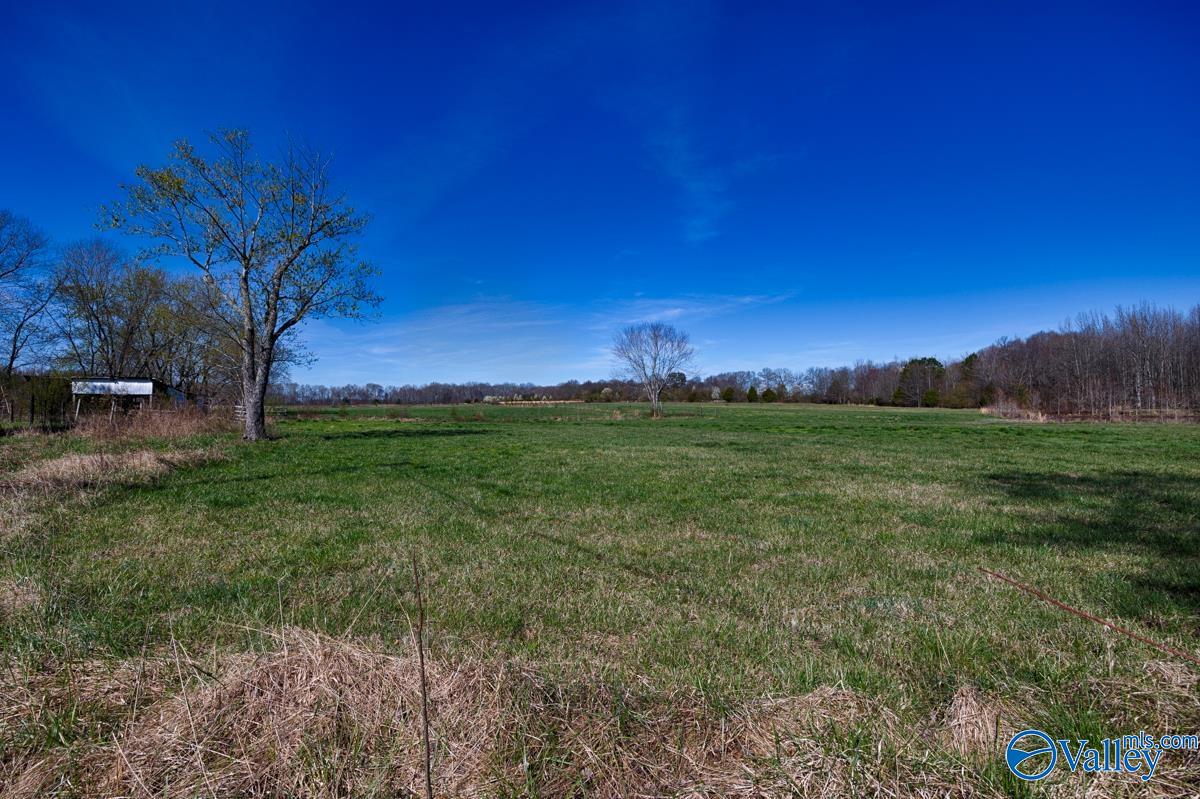 7228 Old Railroad Bed Road, Toney, Alabama image 8