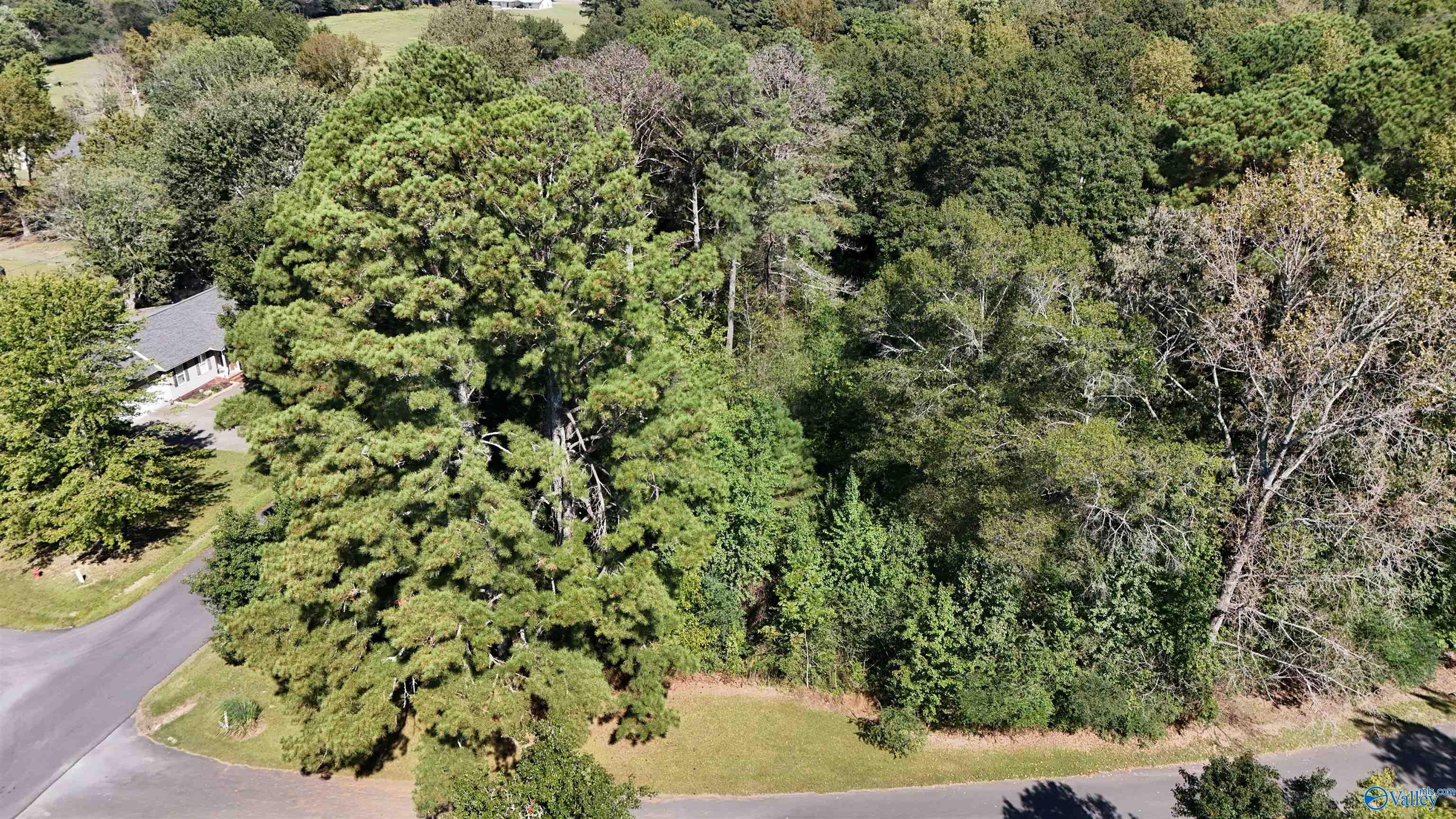 Arab, Alabama 35016, United States, ,Land,Active,229006