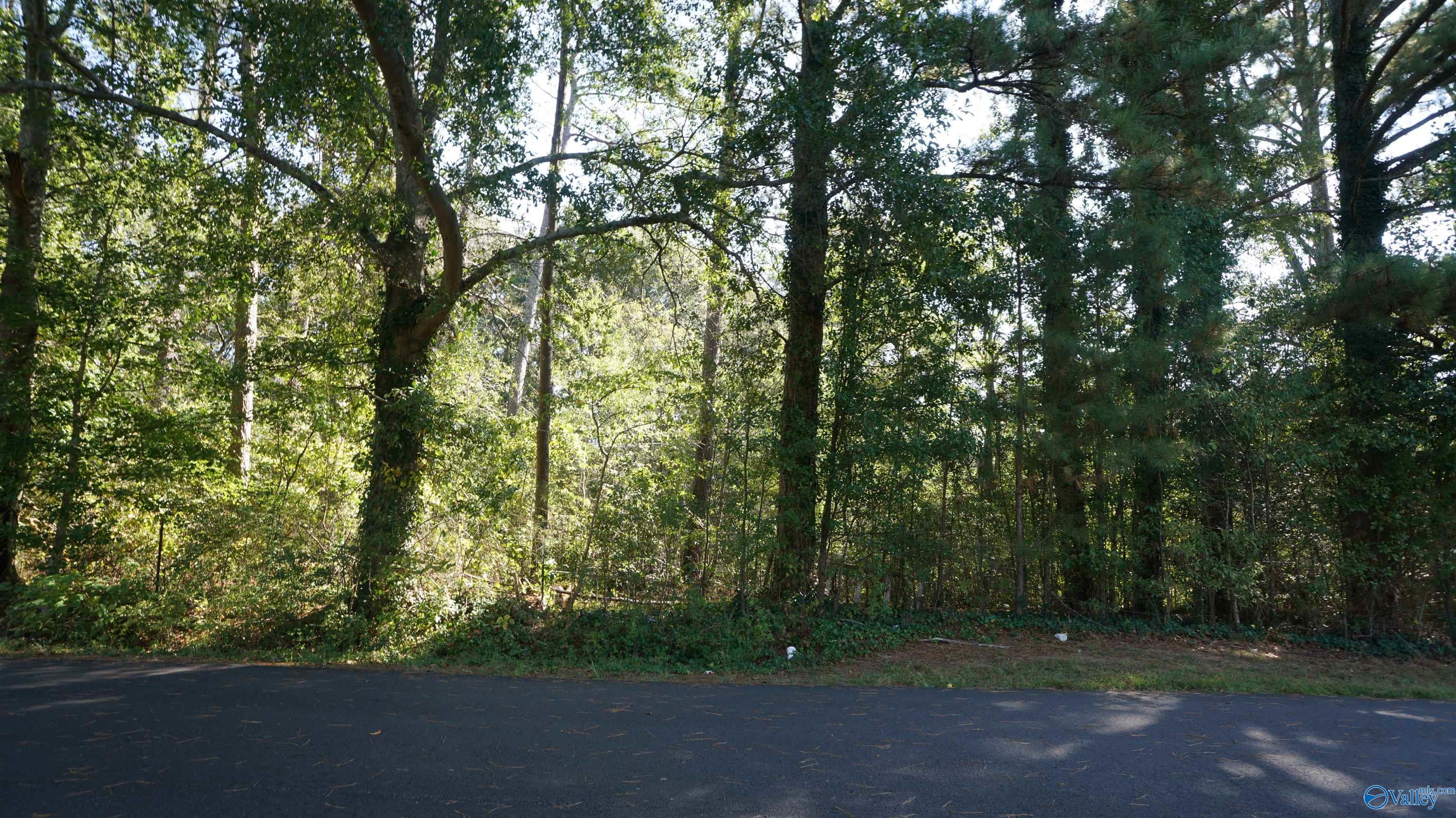 Arab, Alabama 35016, United States, ,Land,Active,229006