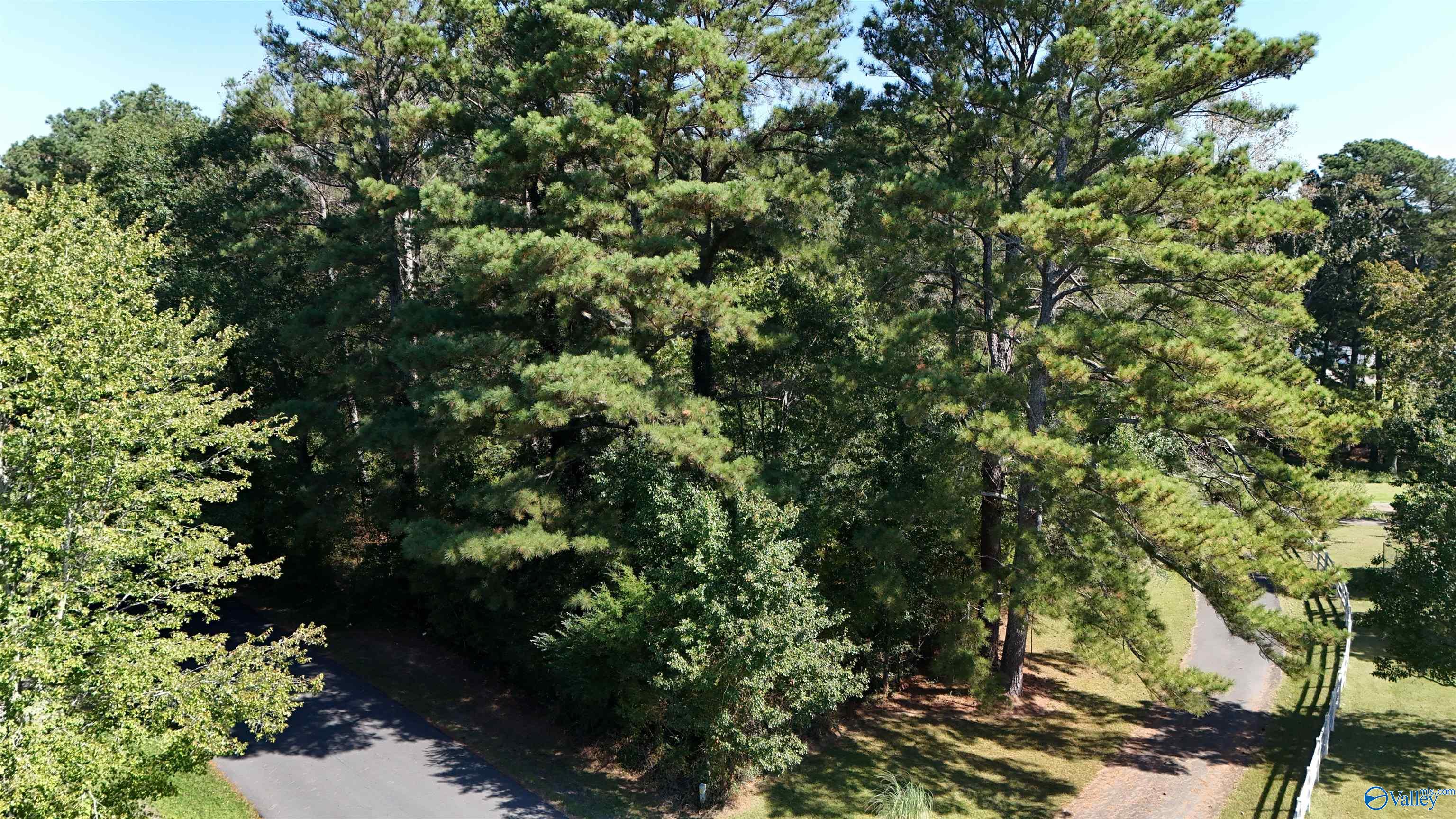 Arab, Alabama 35016, United States, ,Land,Active,229006