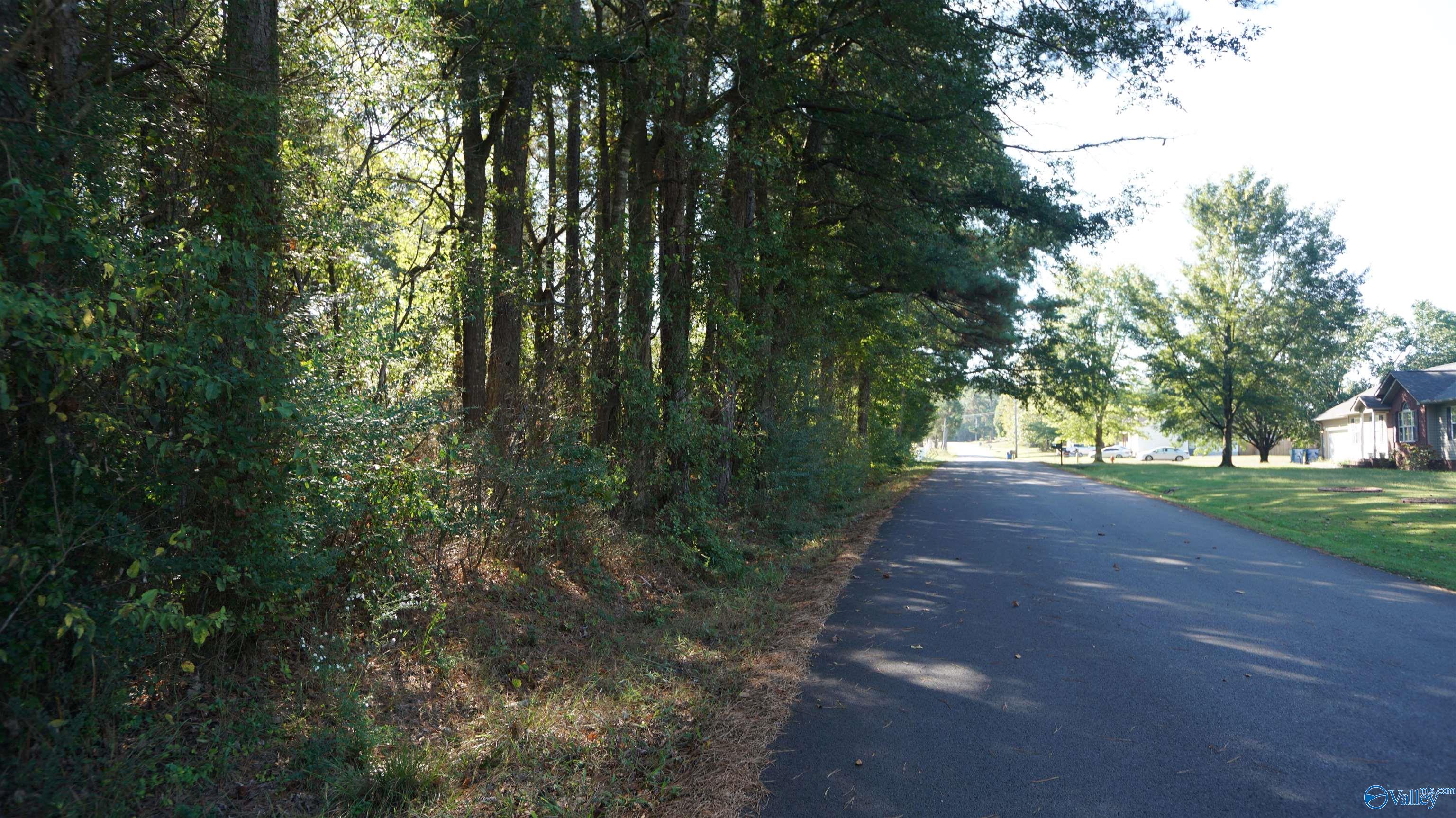 Arab, Alabama 35016, United States, ,Land,Active,229006