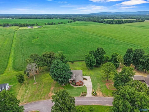 Homes For Sale - 123 Morning Mist Drive<br/> Huntsville, AL 35811