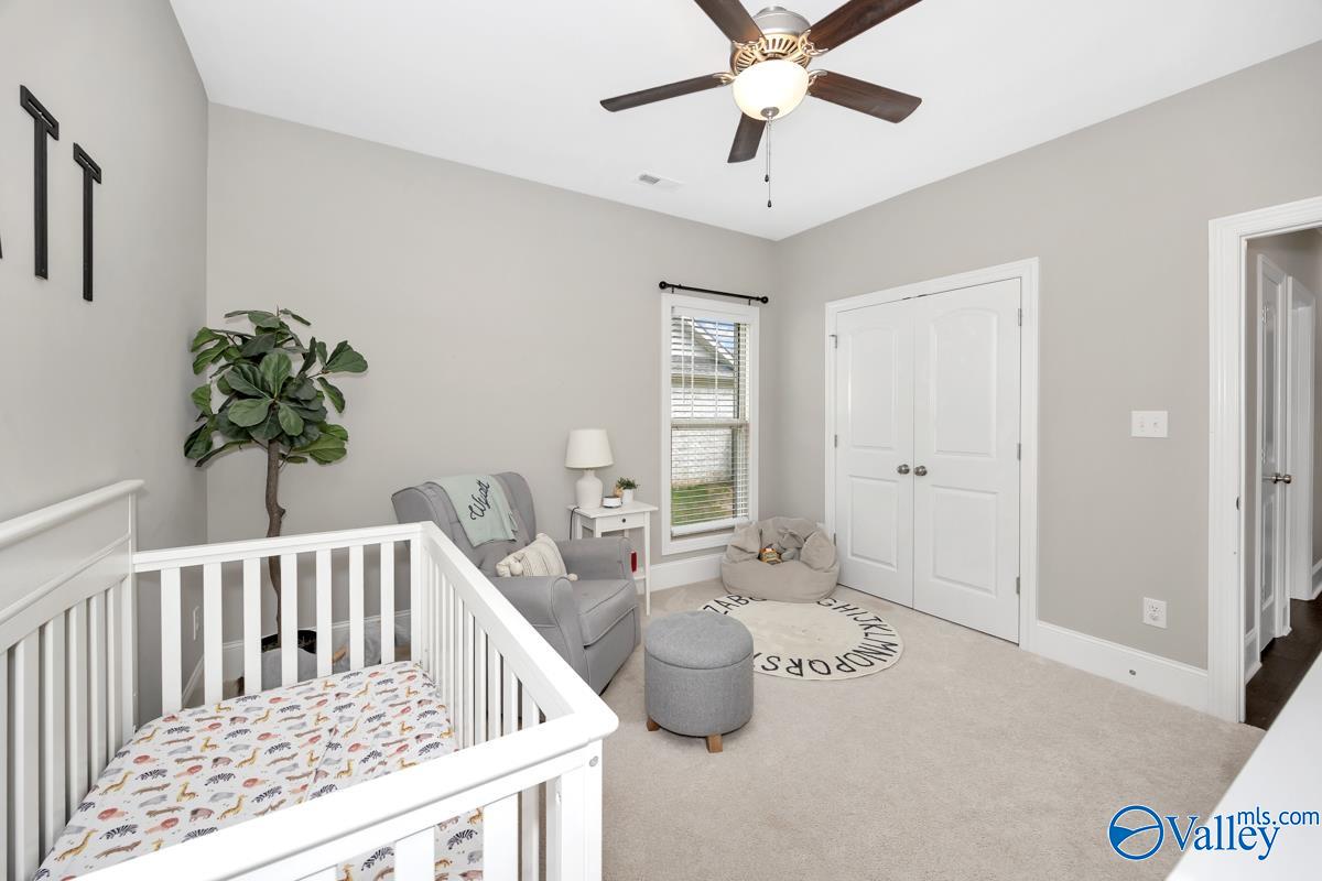 3011 Chimney Cove Circle, Brownsboro, Alabama image 35