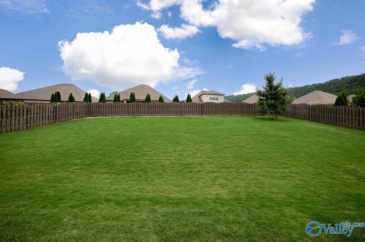 3011 Chimney Cove Circle, Brownsboro, Alabama image 47