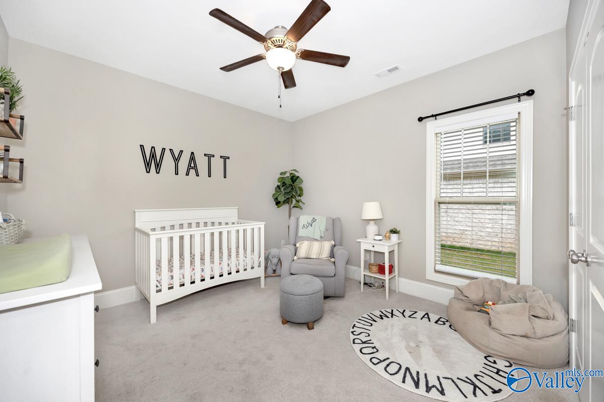 3011 Chimney Cove Circle, Brownsboro, Alabama image 36