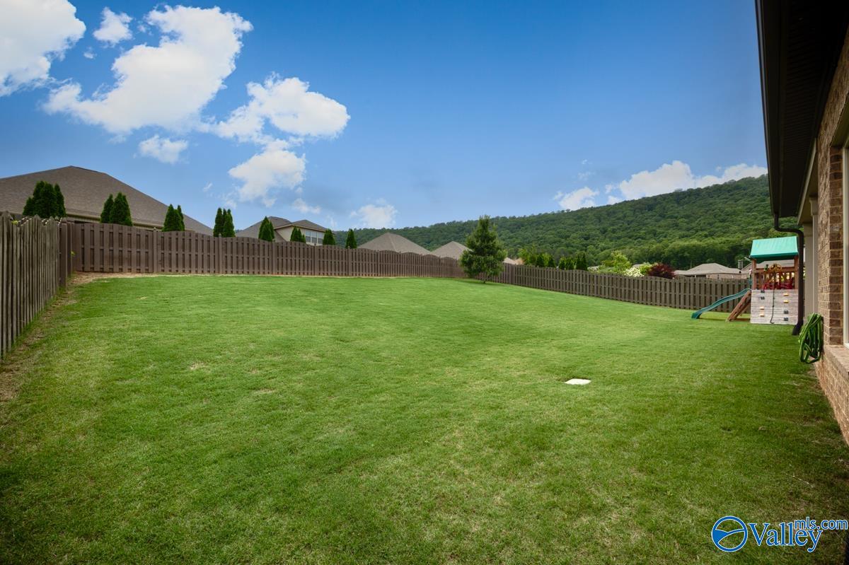 3011 Chimney Cove Circle, Brownsboro, Alabama image 48