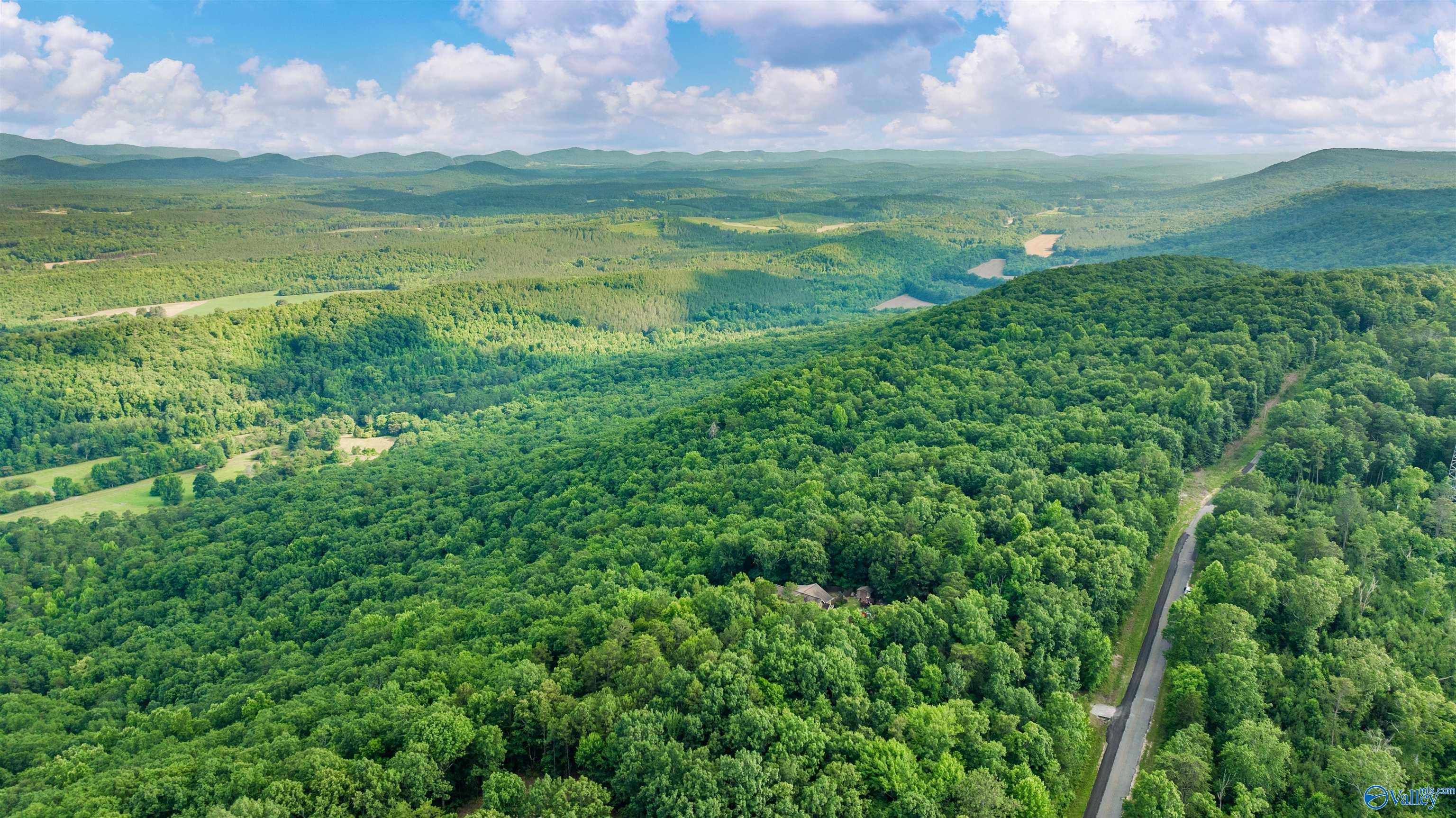 Lot 69 County Road 103, Mentone, Alabama image 9