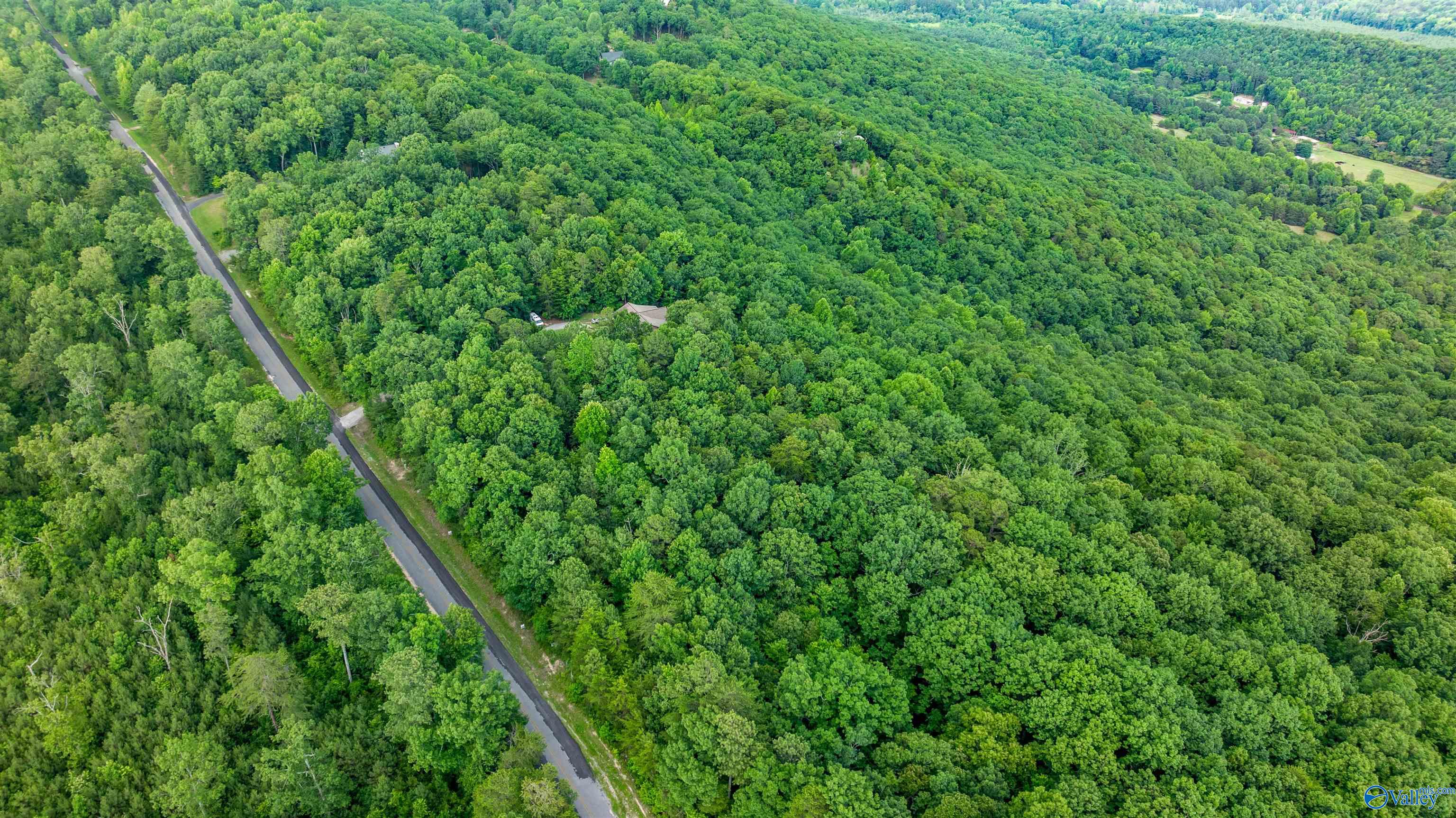 Lot 69 County Road 103, Mentone, Alabama image 7