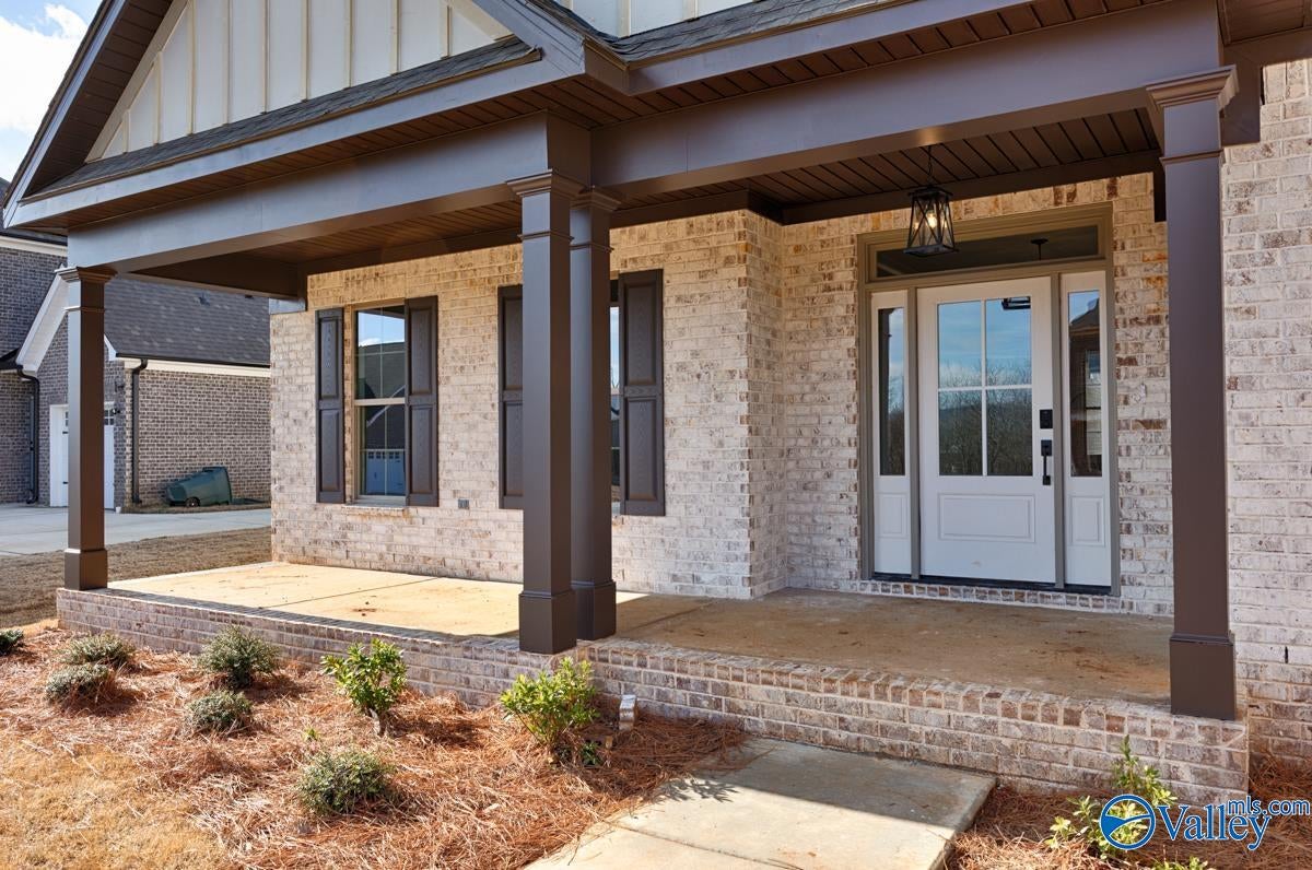 8058 Tupelo Gum Trace