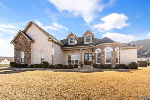 Photo of 8300 Riley Ridge Way SE, Owens Cross Roads, AL 35763 (MLS # 21905813)