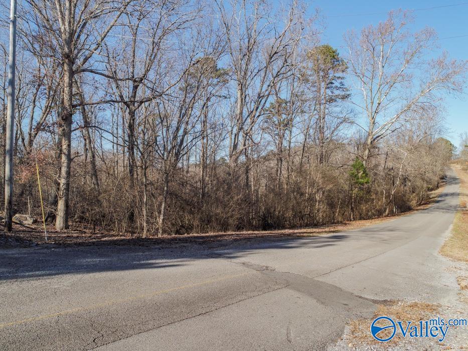 .90 Acres Cardessa Lane, Grant, Alabama image 2