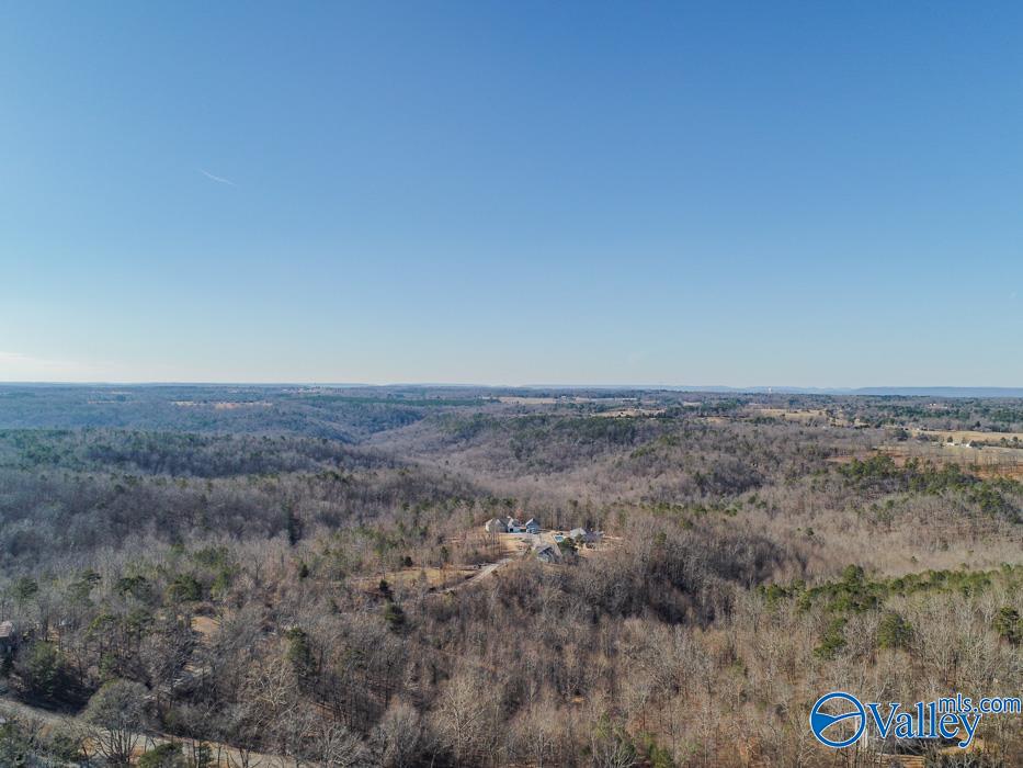 .90 Acres Cardessa Lane, Grant, Alabama image 16