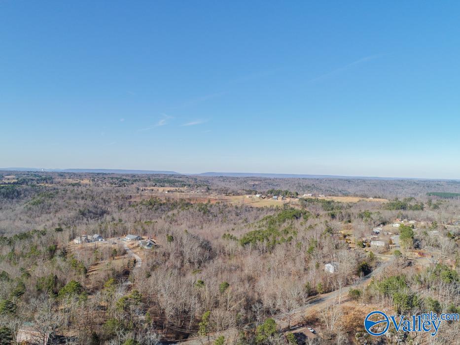 .90 Acres Cardessa Lane, Grant, Alabama image 6