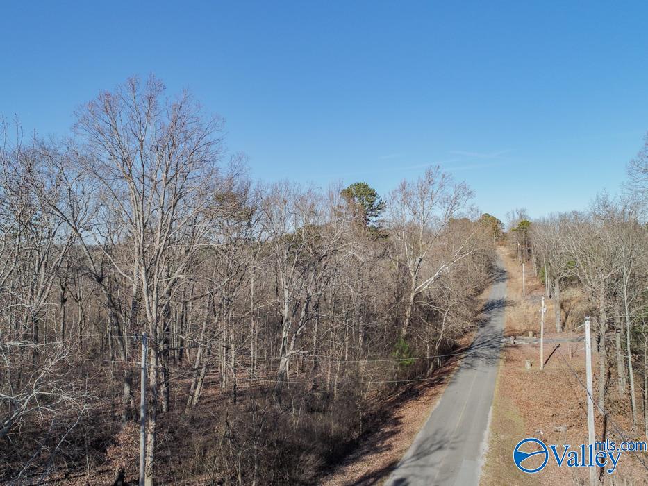 .90 Acres Cardessa Lane, Grant, Alabama image 9