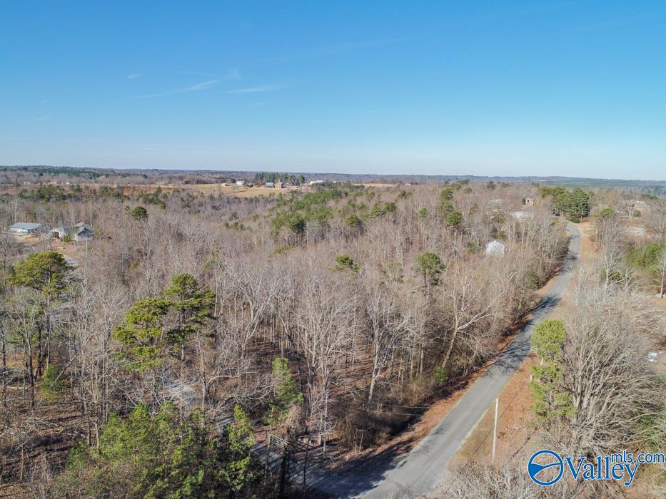 .90 Acres Cardessa Lane, Grant, Alabama image 1