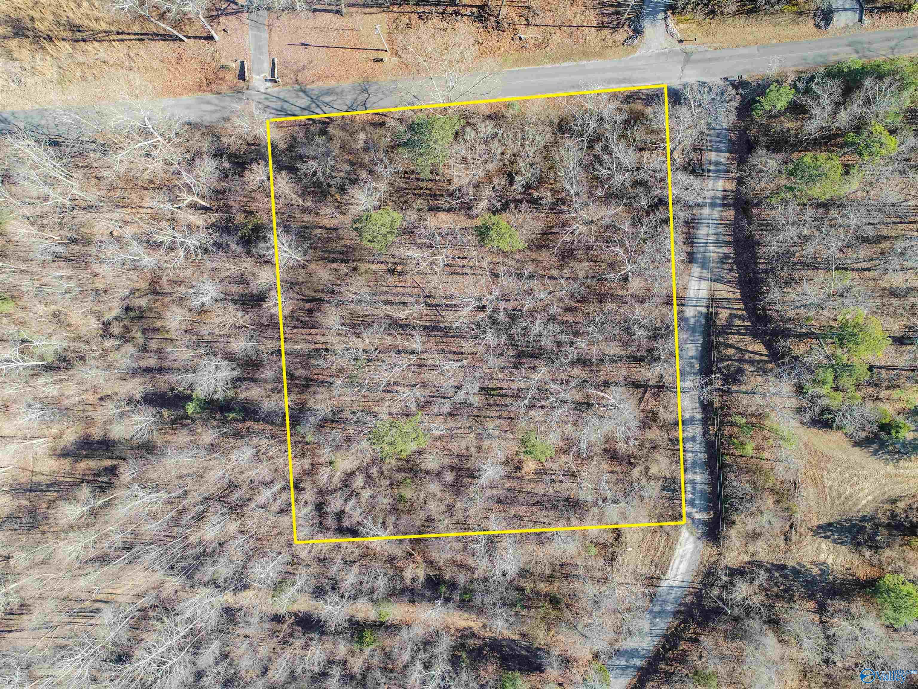 .90 Acres Cardessa Lane, Grant, Alabama image 3