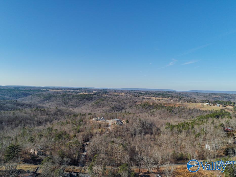 .90 Acres Cardessa Lane, Grant, Alabama image 15