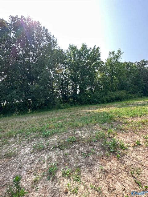 Vacant Land For Sale - TRACT 45 Hays Mill Road<br/> Elkmont, AL 35620
