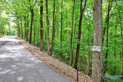 Vacant Land For Sale - LOT 14 Mill Creek Road<br/> Falkville, AL 35622