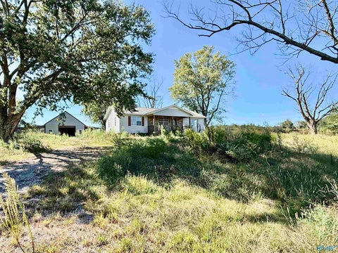 Homes For Sale - 254 Mount Sinai Road<br/> Horton, AL 35980