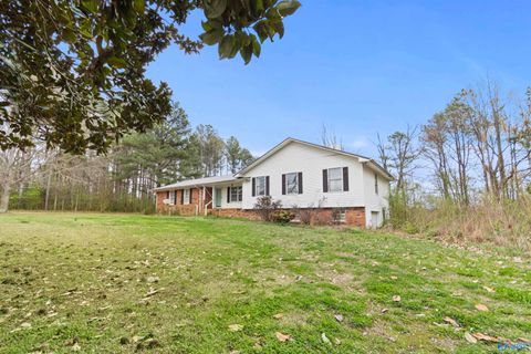 Photo of 411 County Road 1856, Arab, AL 35016 (MLS # 21912338)