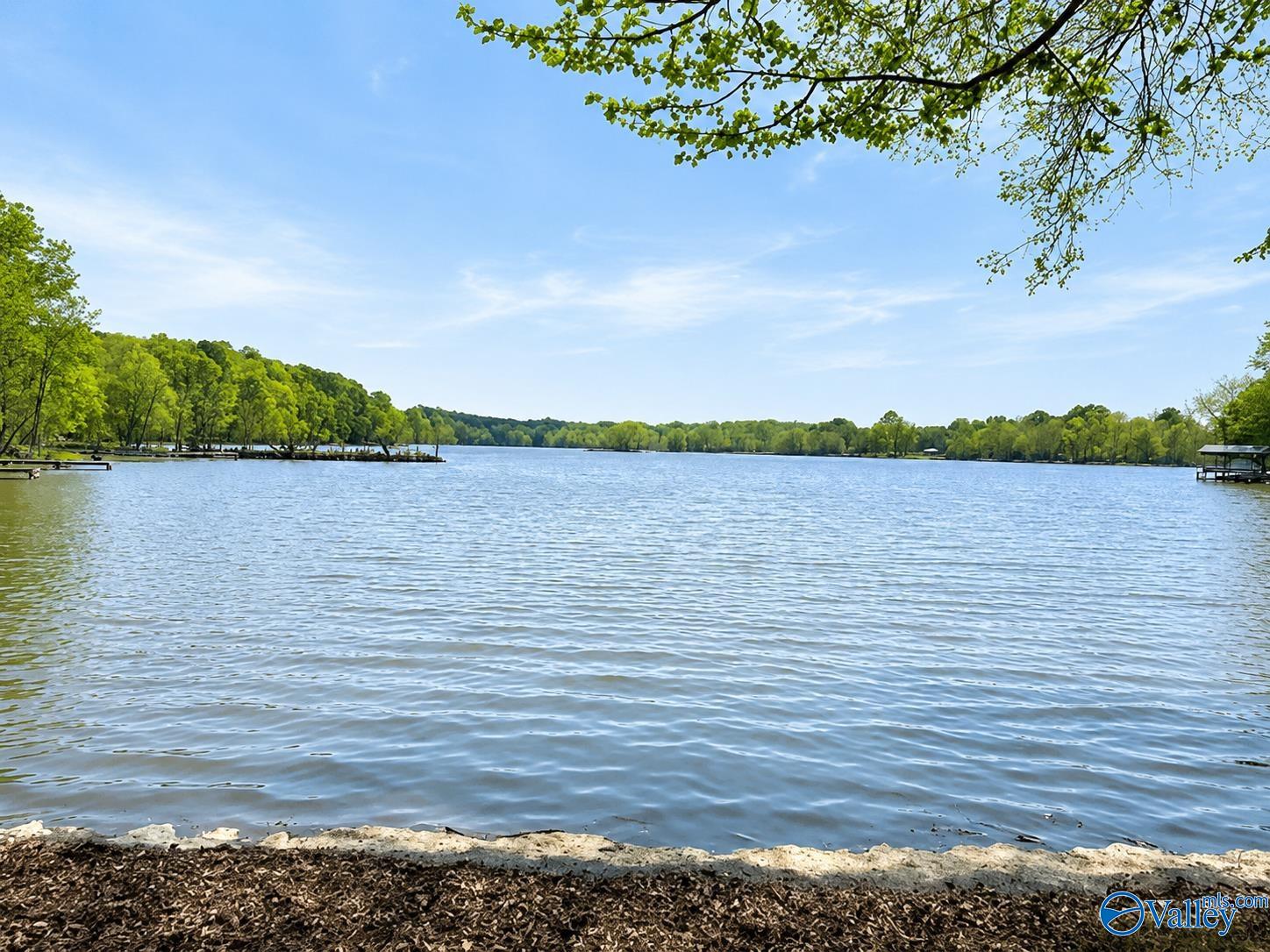 Lot 10 County Road 609 - Photo 2
