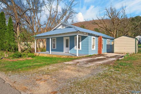 Homes For Sale - 809 Sanders Avenue<br/> Fort Payne, AL 35967