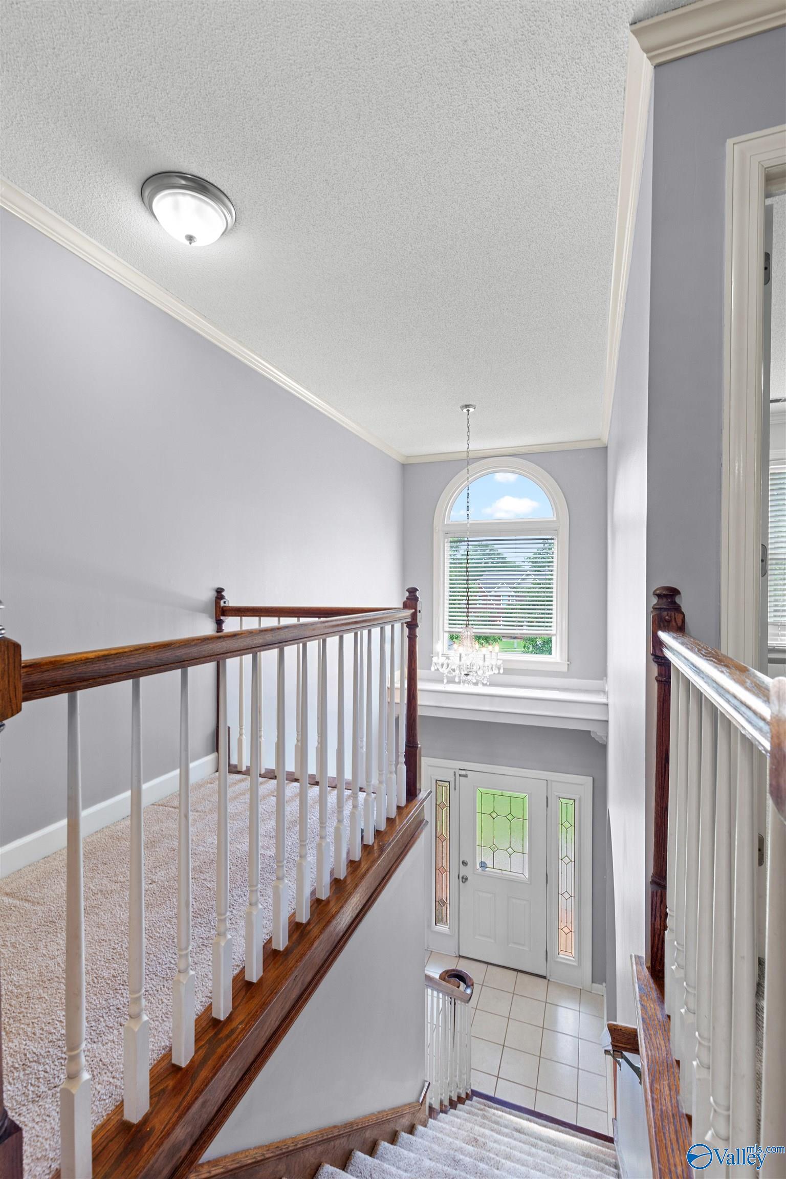 109 Silver Hill Circle, Madison, Alabama image 27