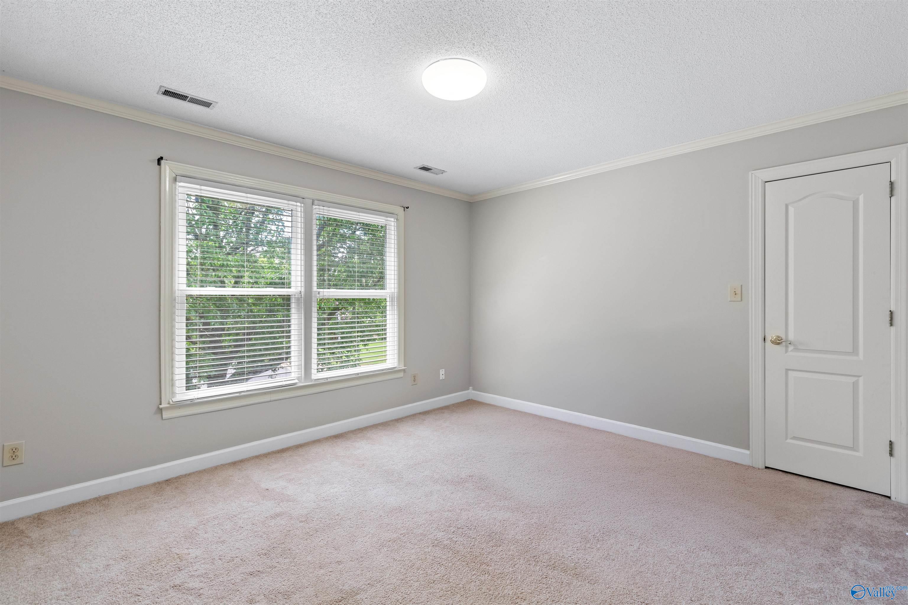 109 Silver Hill Circle, Madison, Alabama image 28