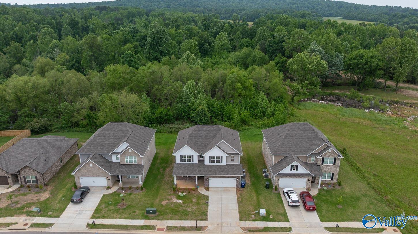 140 Amelia Drive, Harvest, Alabama image 40