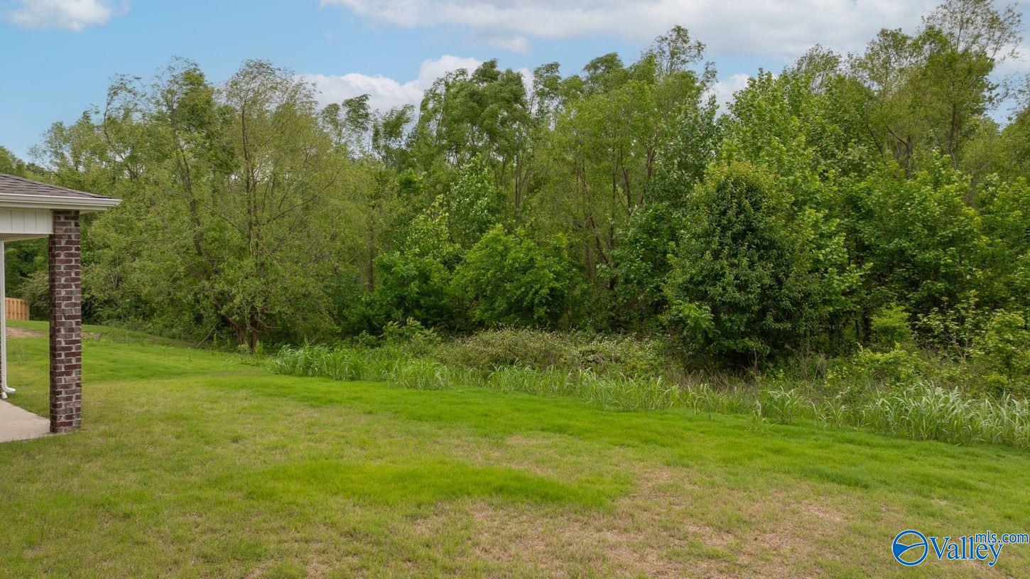140 Amelia Drive, Harvest, Alabama image 32