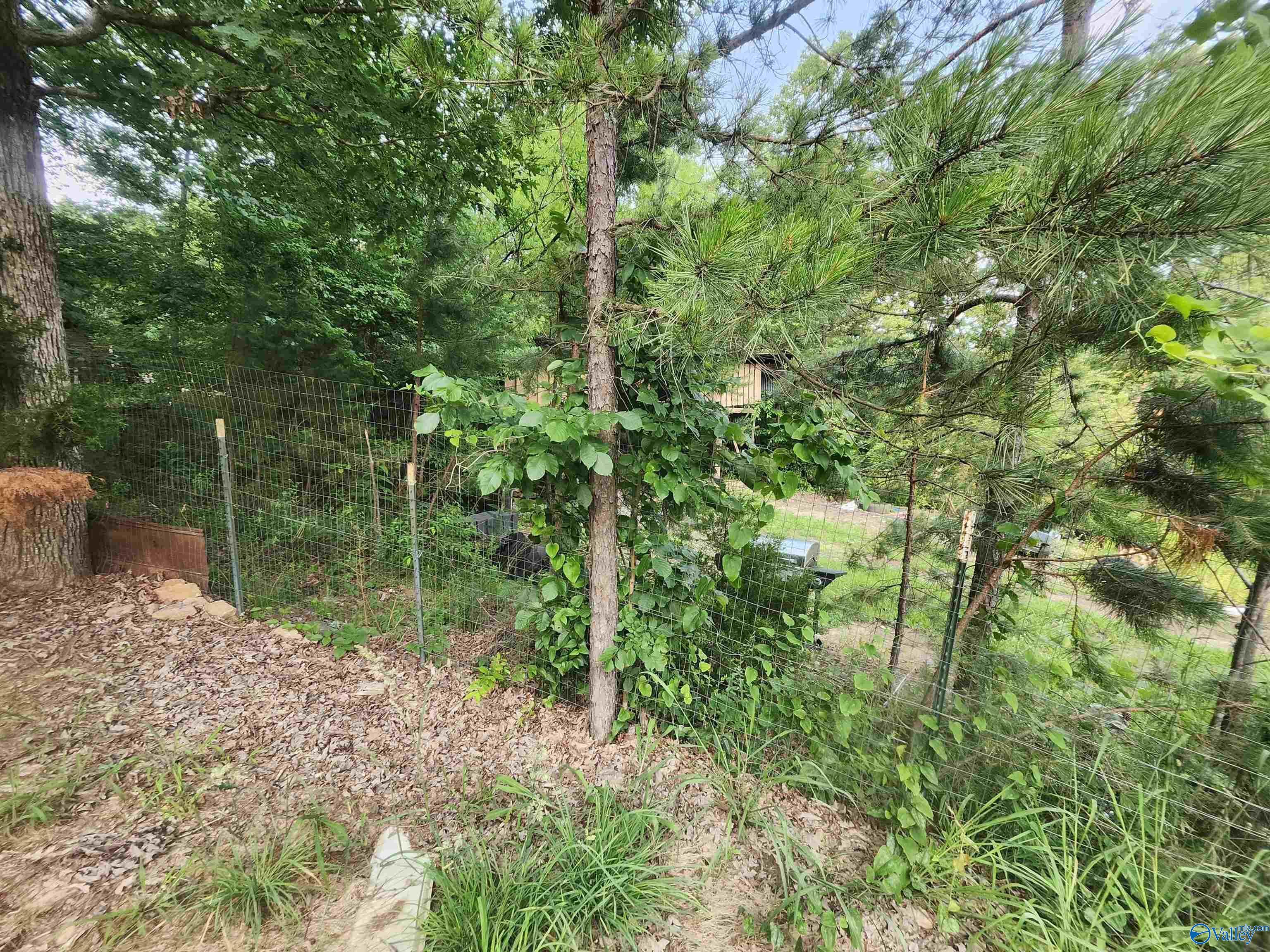 611 Blowing Cave Road, Gurley, Alabama image 14
