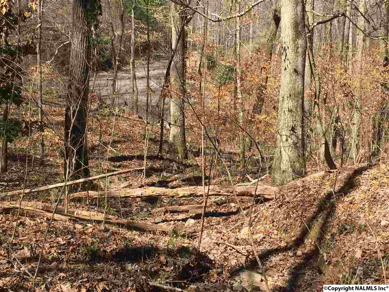 3.2 ACRES Northwoods Trail, Gadsden, Alabama image 9