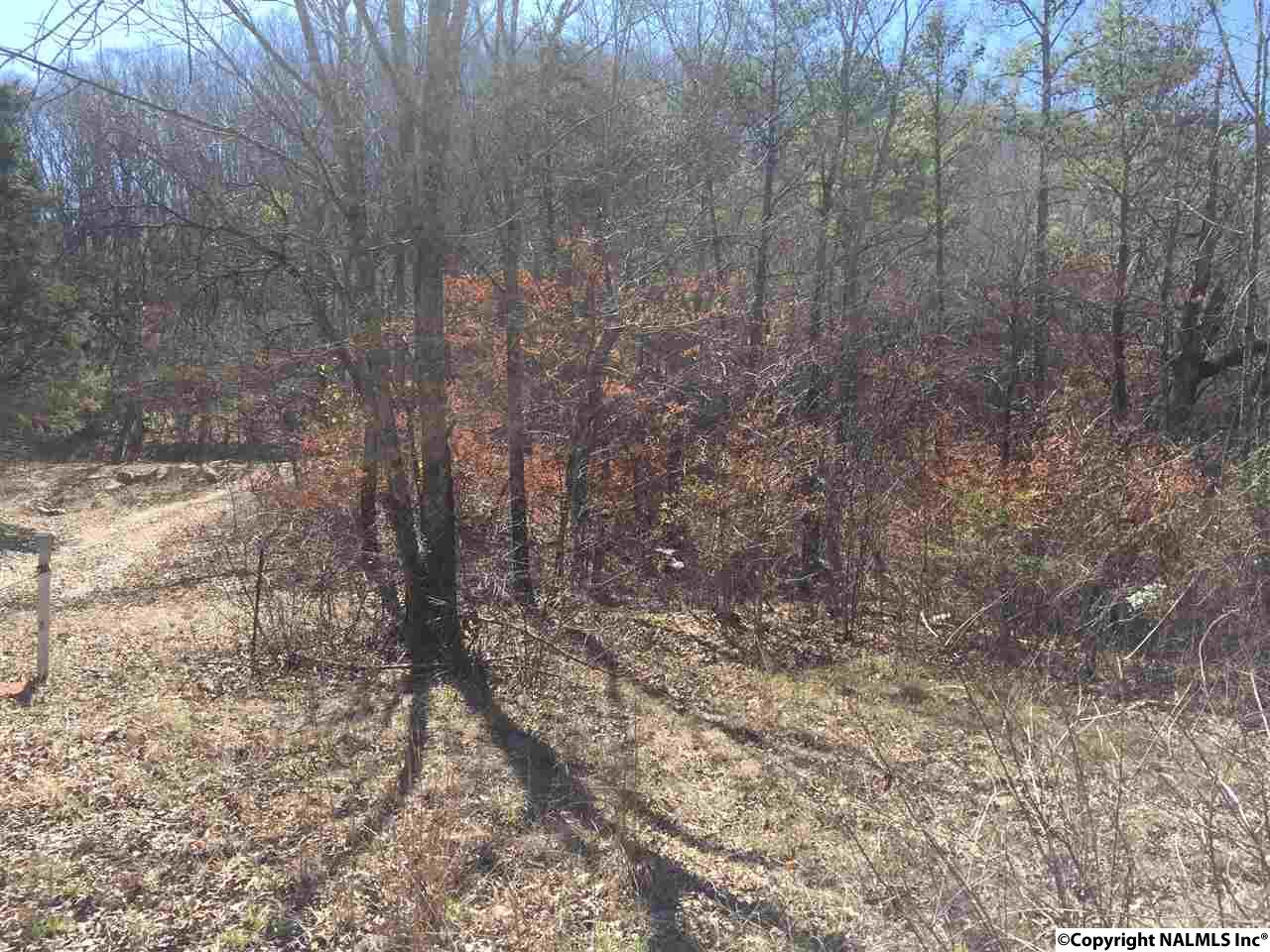 3.2 ACRES Northwoods Trail, Gadsden, Alabama image 6