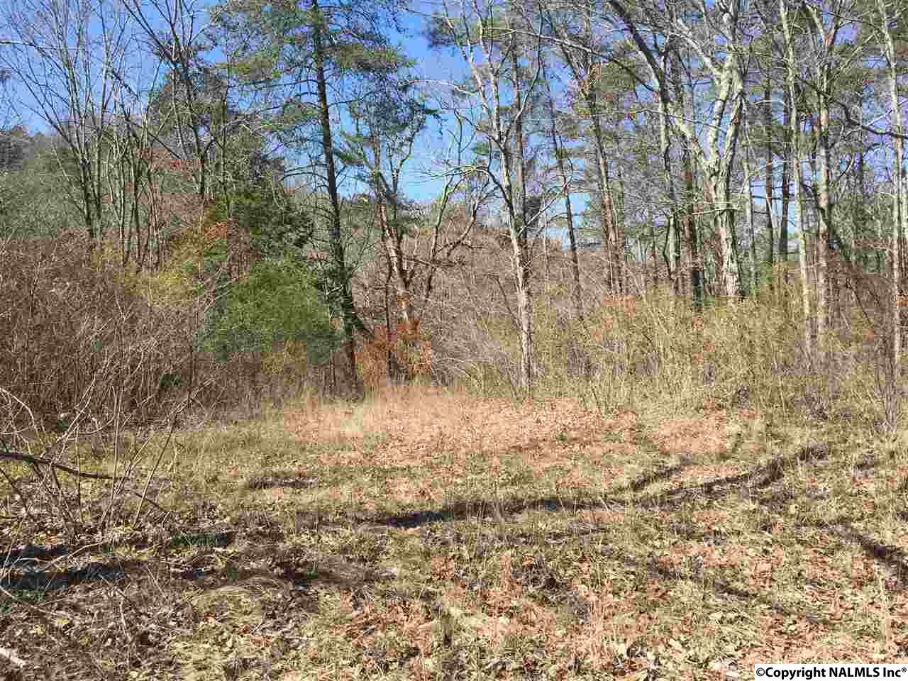 3.2 ACRES Northwoods Trail, Gadsden, Alabama image 5