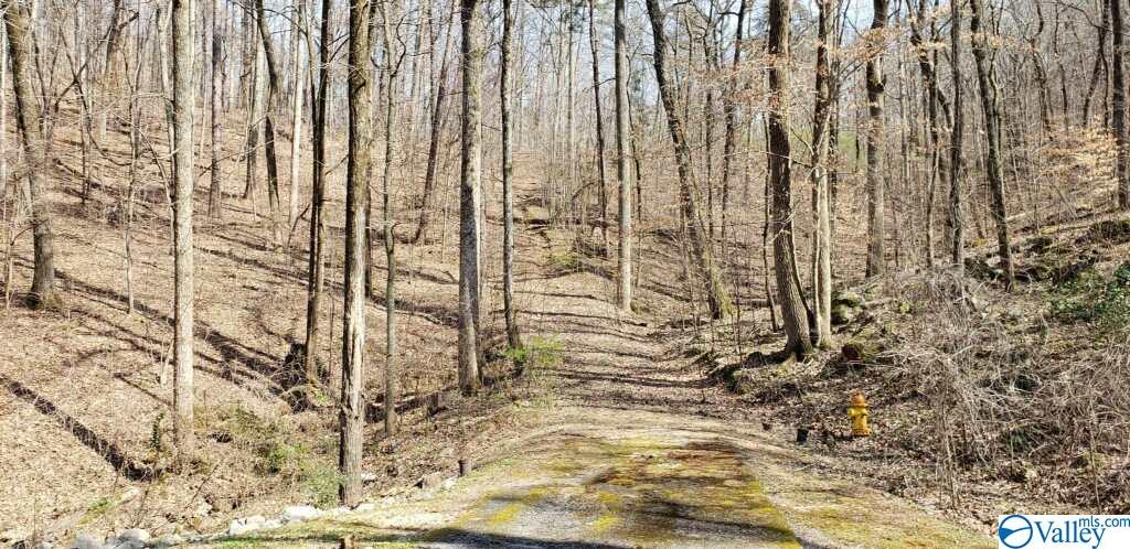 3.2 ACRES Northwoods Trail, Gadsden, Alabama image 1