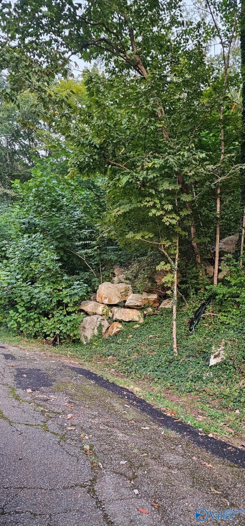 Vacant Land For Sale - 2806 Colice Road<br/> Madison County, Huntsville, AL 35801