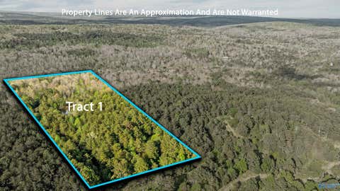 Vacant Land For Sale - TRACT 1 Road 9002<br/> Mentone, AL 35984