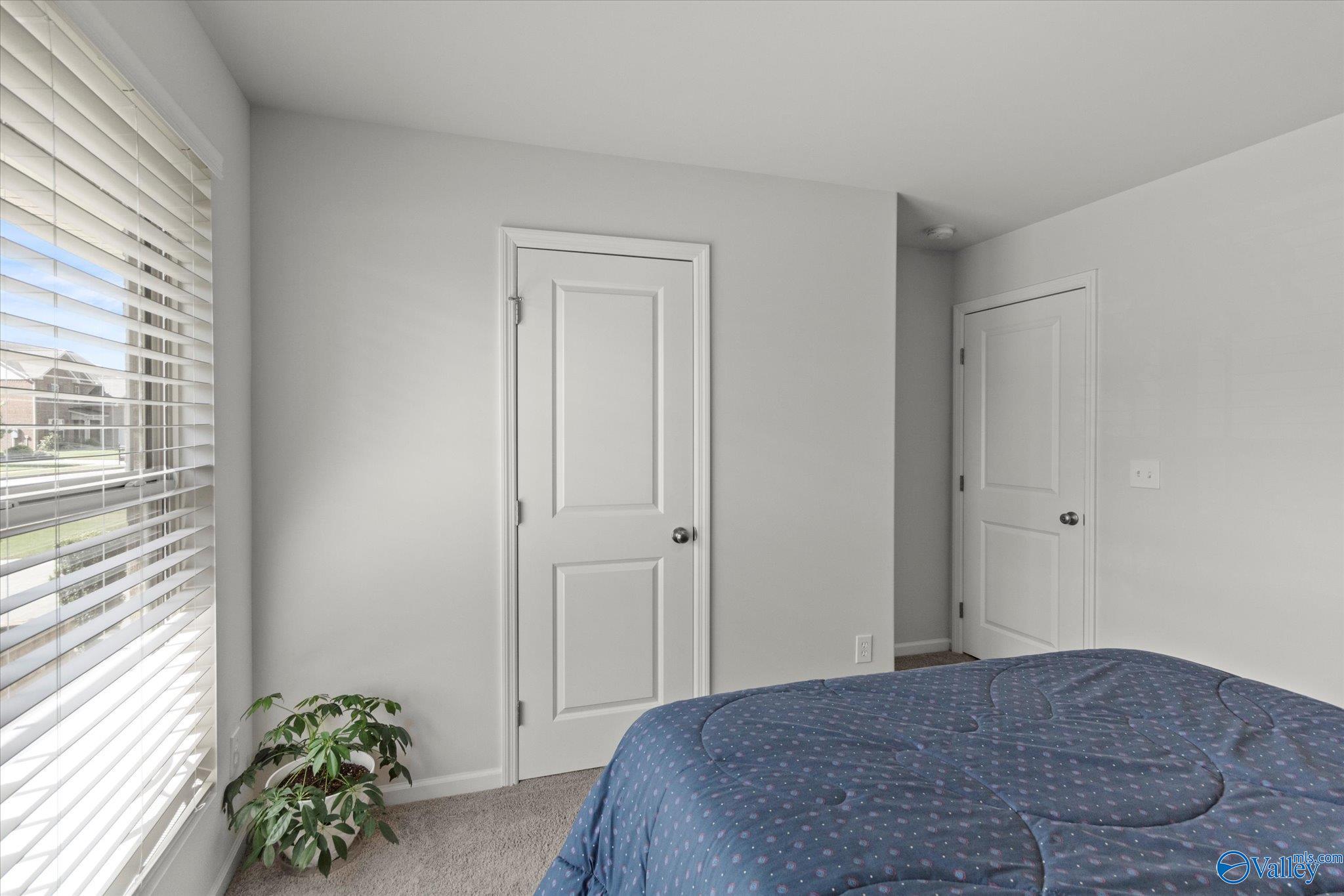115 Summer Pointe Lane, Madison, Alabama image 24