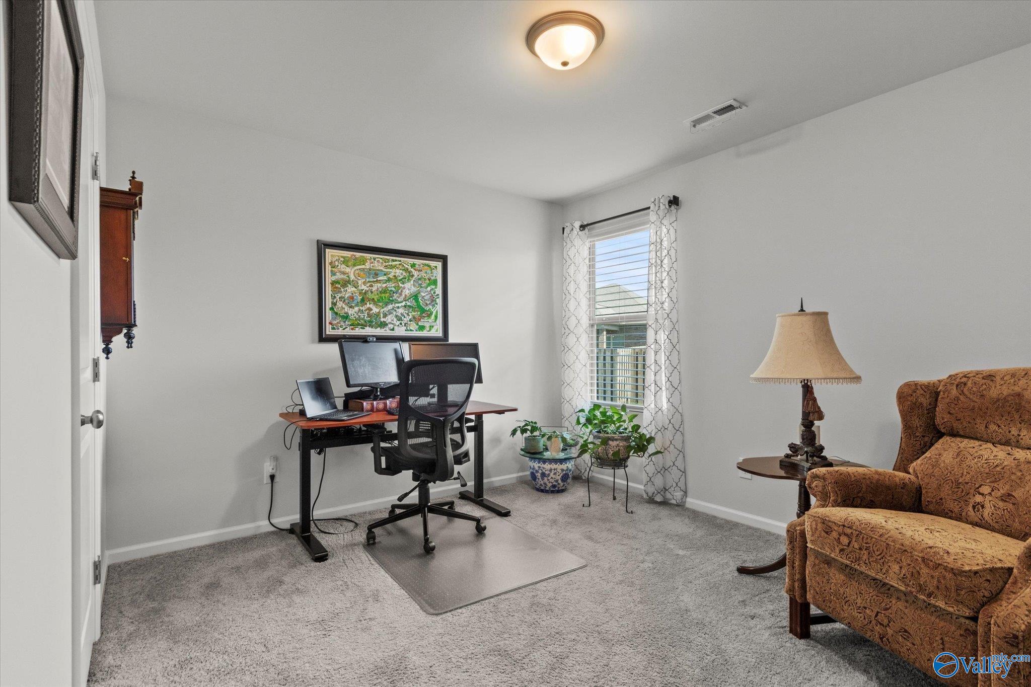 115 Summer Pointe Lane, Madison, Alabama image 21