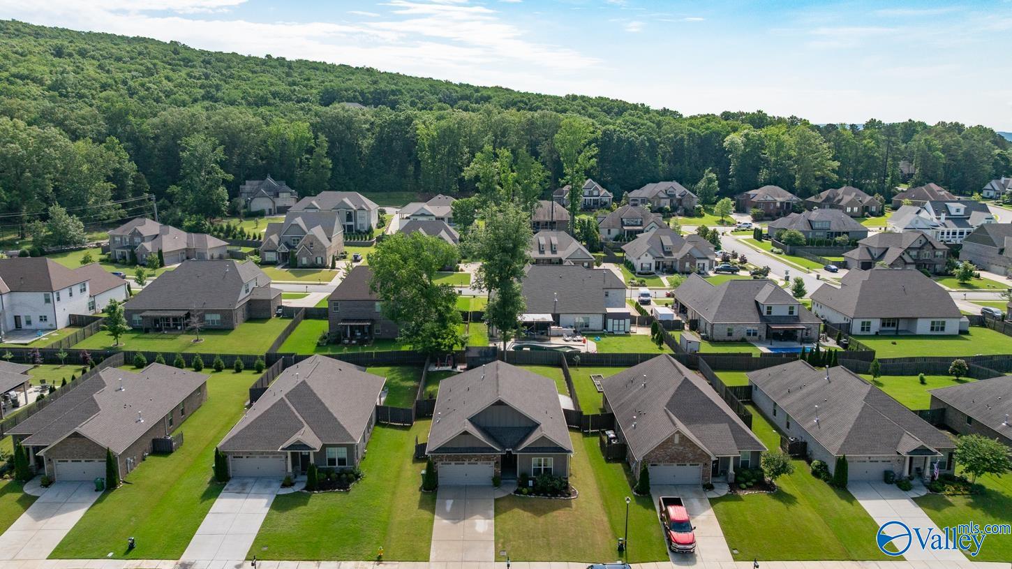 3015 Peevey Creek Lane, Owens Cross Roads, Alabama image 38