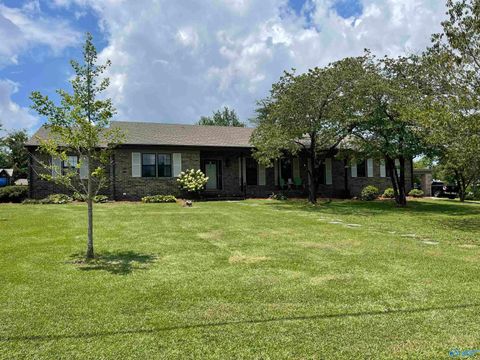 Homes For Sale - 6 Penny Lane<br/> Albertville, AL 35950