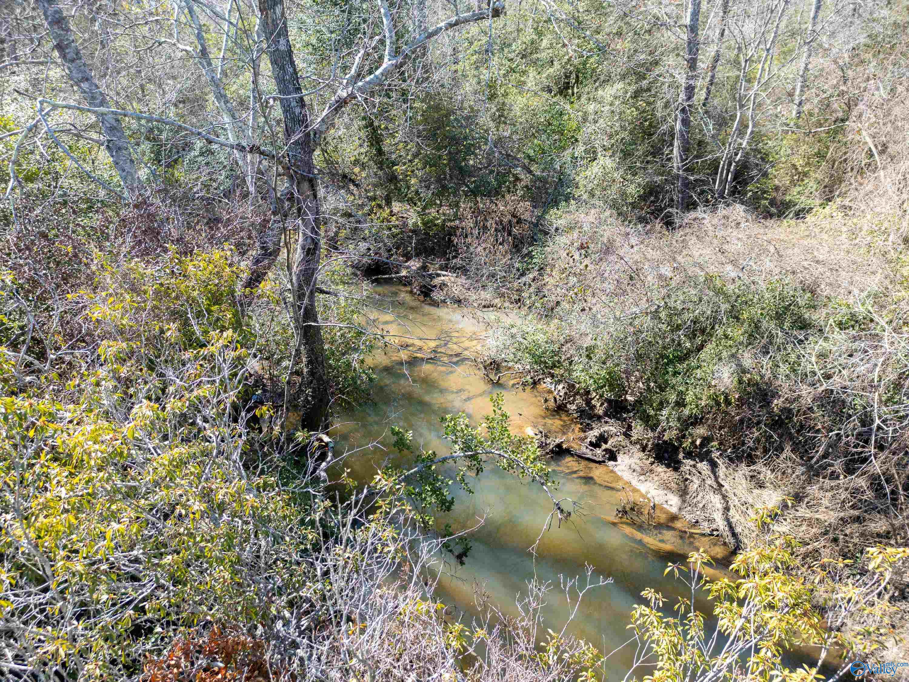 233 County Road 326, Flat Rock, Alabama image 32