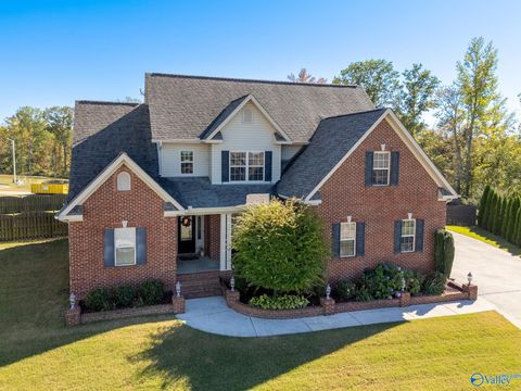 Photo of 29600 Laura Ridge Drive, Harvest, AL 35749 (MLS # 21902166)