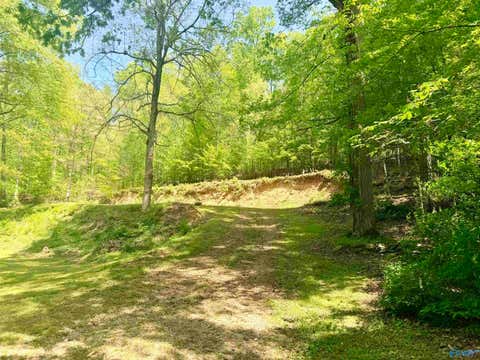 Vacant Land For Sale - 17940 Blue Springs Road<br/> Limestone County, Athens, AL 35611