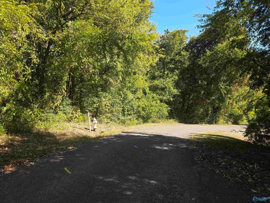 4.57 NW 10TH STREET, FORT PAYNE, AL 35967 - Image 34677f3ba6b3a5c4a1ffcaa17c25eaea/2889807546