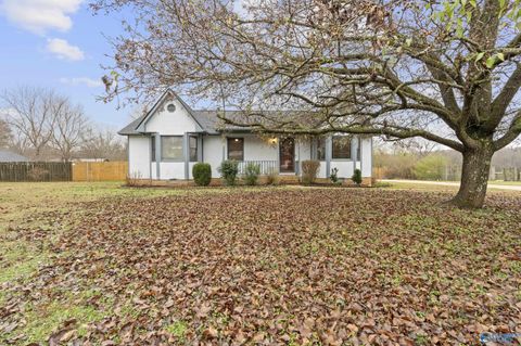 Photo of 102 Mandy Drive, Hazel Green, AL 35750 (MLS # 21905206)