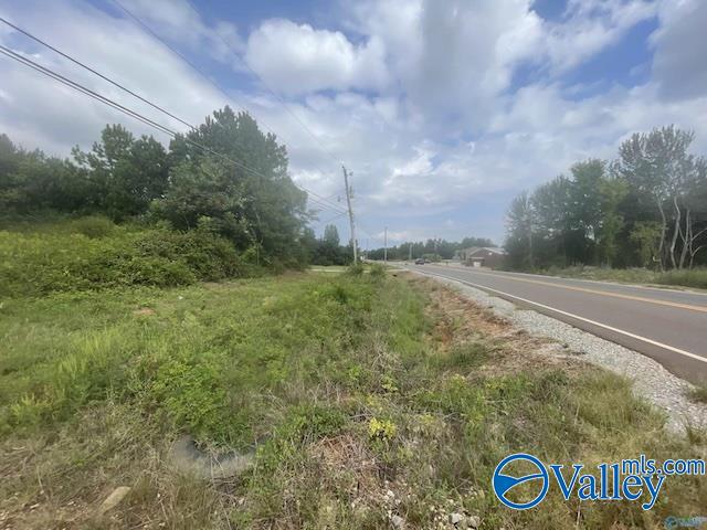 PIN 63868 Old Railroad Bed Road, Harvest, Alabama image 8