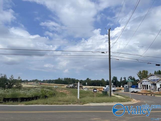 PIN 63868 Old Railroad Bed Road, Harvest, Alabama image 10